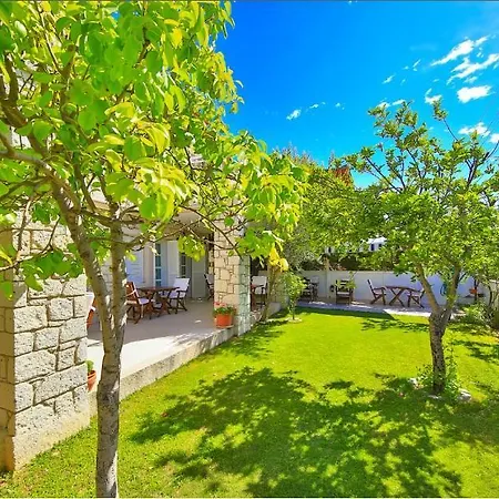 Sorf アラカティ