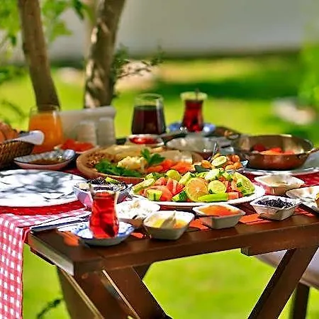 Sorf فندق 2*