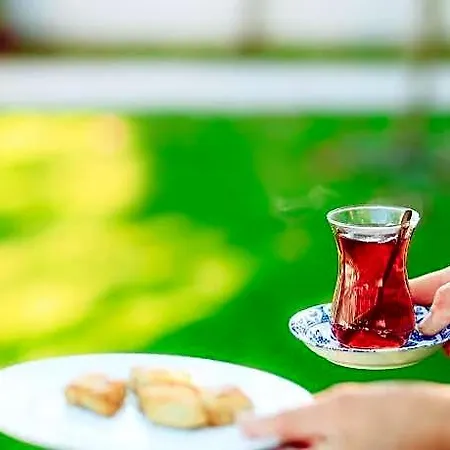 Sorf فندق 2*
