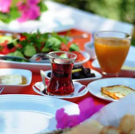 فندق Sorf