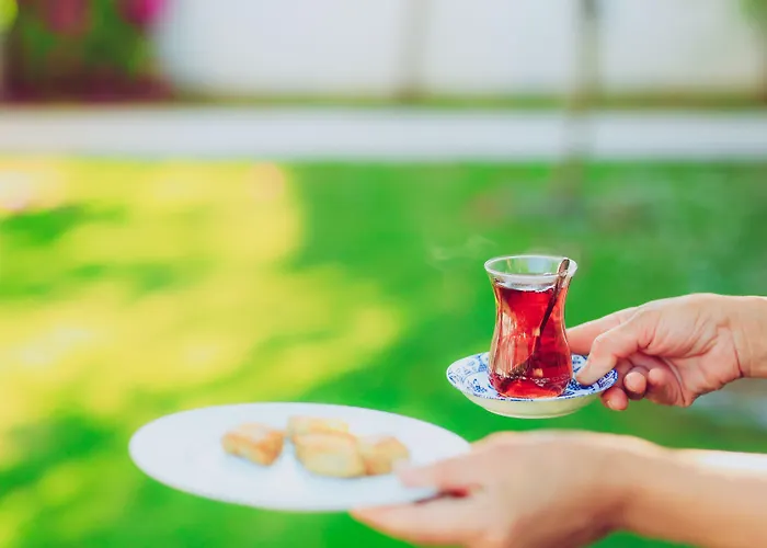 Sorf Ξενοδοχείο 2*